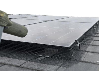 Pigeon Protection | The Green Way Solar