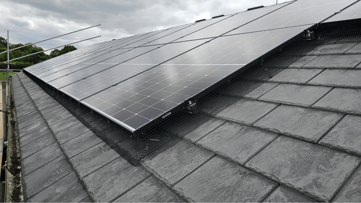 Pigeon Protection | The Green Way Solar