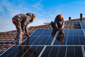 Leading the Way with Hometree Finance’s Innovative Solar Plan | The Green Way Solar